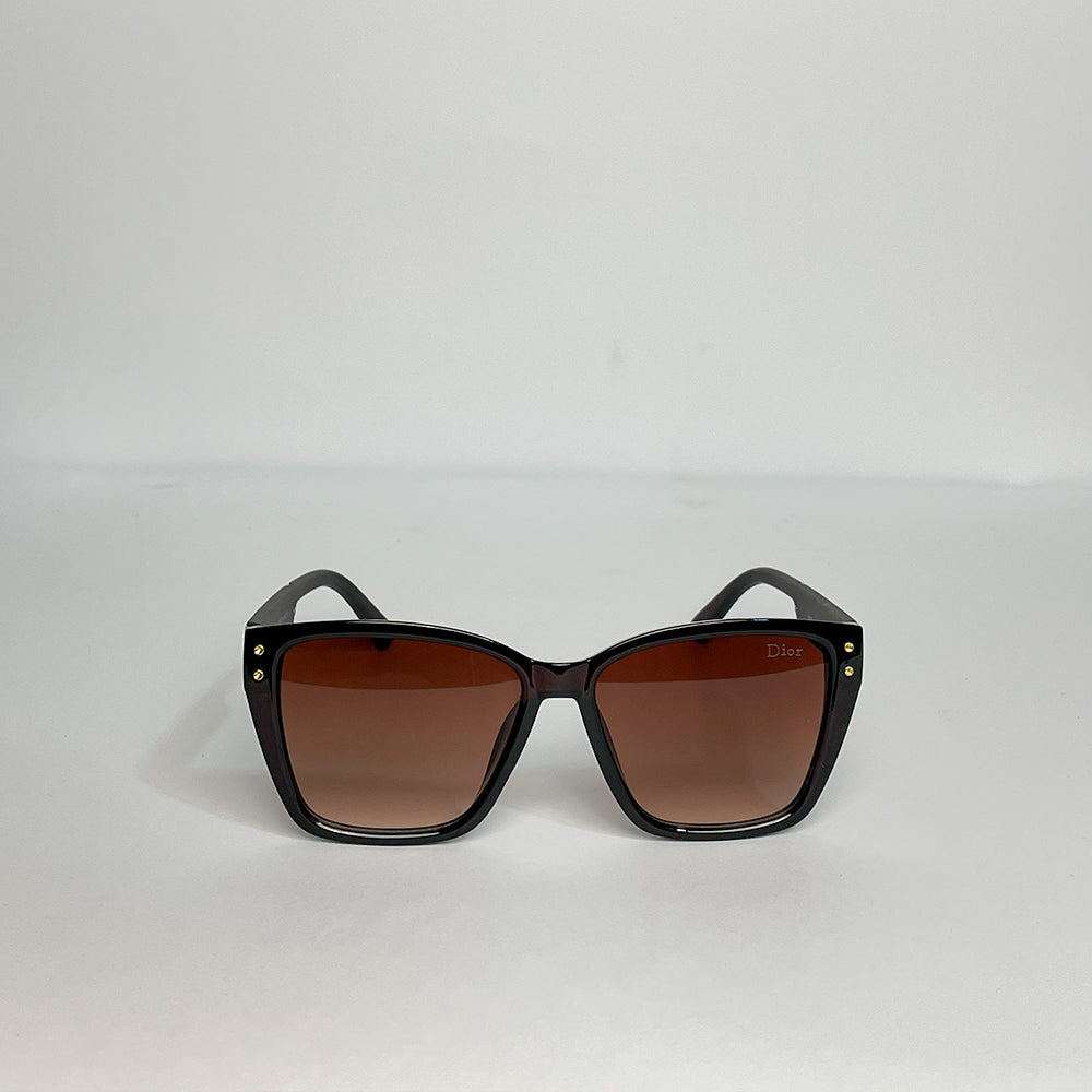 Dior Classic Charm Women’s Designer Sunglasses